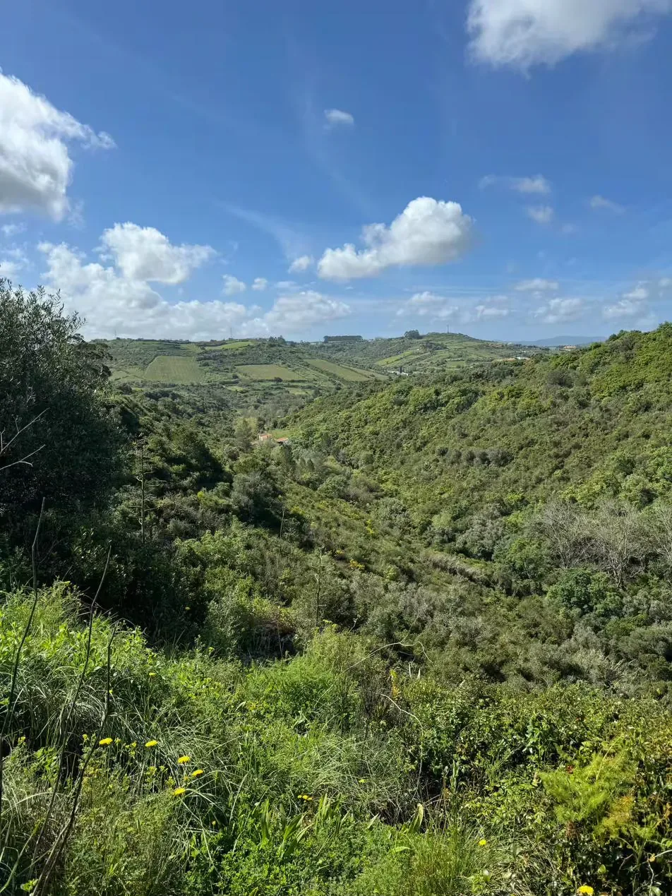 Valley panorama over Cheleiros — wild green hills to the Atlantic